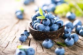 The Benefits and Uses of Blueberry Fruits