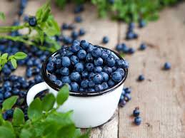 The Benefits and Uses of Blueberry Fruits The Benefits and Uses of Blueberry Fruits