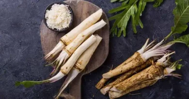 15 Medicinal Health Benefits Of Horseradish (Armoracia rusticana)