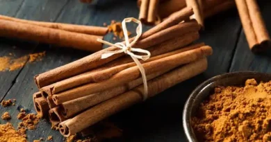 18 Medicinal Health Benefits Of Cinnamon (Cinnamomum)