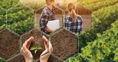 The Importance of Agronomy in Agriculture