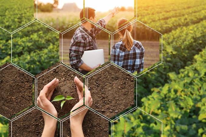 The Importance of Agronomy in Agriculture