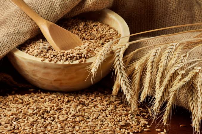How to Grow and Care for Wheats