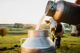 The Benefits of Dairy Farming