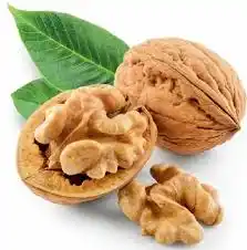 17 Medicinal Health Benefits Of Walnut (Juglans regia)