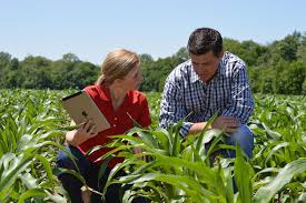 The Importance of Agronomy in Agriculture 