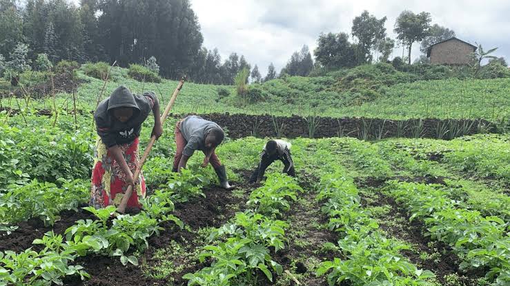 The Benefits of Subsistence Farming