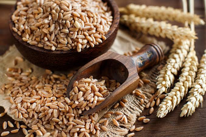 How to Grow and Care for Wheats How to Grow and Care for Wheats