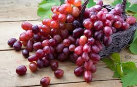 Grapes: History, Nutrition, Health Benefits and Growing Guide