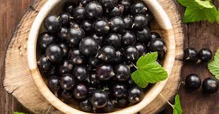 Blackcurrants: History, Nutrition, Health Benefits and Growing Guide 