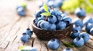 Blueberries: History, Nutrition, Health Benefits and Growing Guide