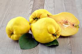 Quinces: History, Nutrition, Health Benefits and Growing Guide 