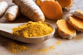 15 Medicinal Health Benefits Of Turmeric (Curcuma longa)