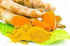 15 Medicinal Health Benefits Of Turmeric (Curcuma longa)