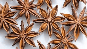 17 Medicinal Health Benefits Of Illicium verum (Star Anise) 17 Medicinal Health Benefits Of Illicium verum (Star Anise)