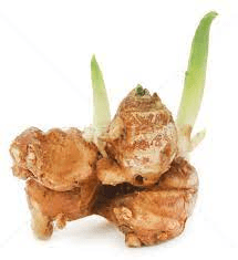 18 Medicinal Health Benefits Of Kaempferia Galanga (Aromatic Ginger) 18 Medicinal Health Benefits Of Kaempferia Galanga (Aromatic Ginger)