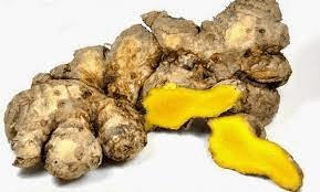 15 Bienfaits Médicinaux De Zingiber cassumunar (Plai)