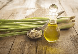 15 Medicinal Health Benefits Of Lemongrass (Cymbopogon flexuosus)