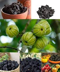 16 Medicinal Health Benefits of Garcinia Leptophylla (Brindleberry) 16 Medicinal Health Benefits of Garcinia Leptophylla (Brindleberry)