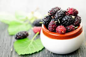 Mulberries: History, Nutrition, Health Benefits and Growing Guide