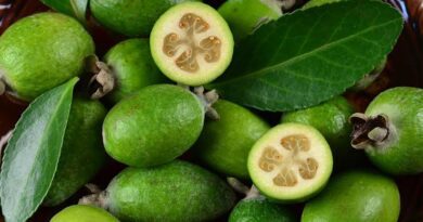 Feijoas: History, Nutrition, Health Benefits and Growing Guide