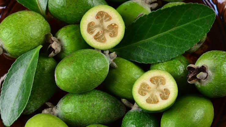 Feijoas: History, Nutrition, Health Benefits and Growing Guide