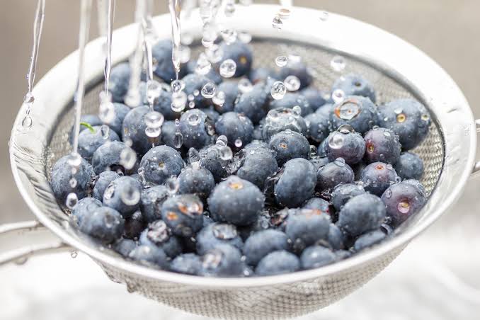 How to Prevent Blueberry Mold How to Prevent Blueberry Mold