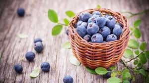 Blueberries: History, Nutrition, Health Benefits and Growing Guide