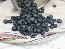 How to Prevent Blueberry Mold How to Prevent Blueberry Mold
