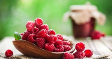 Raspberries: History, Nutrition, Health Benefits and Growing Guide