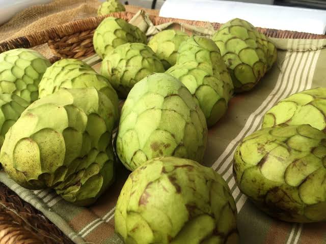 Cherimoyas: History, Nutrition, Health Benefits and Growing Guide 