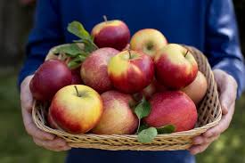 Apples: History, Nutrition, Health Benefits and Growing Guide
