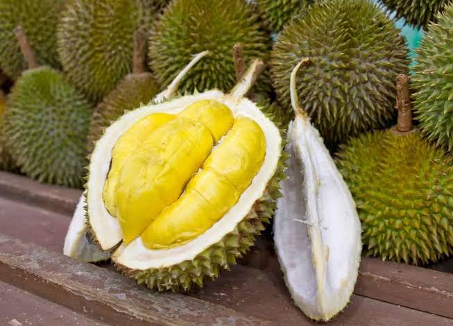 Durians: History, Nutrition, Health Benefits and Growing Guide Durians: History, Nutrition, Health Benefits and Growing Guide