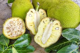 Jackfruits: History, Nutrition, Health Benefits and Growing Guide