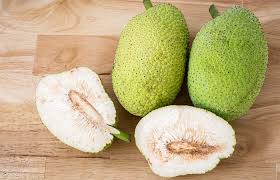 Breadfruit: History, Nutrition, Health Benefits and Growing Guide