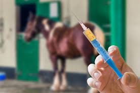 Equine Influenza: Description, Damages Caused, Control and Preventive Measures Equine Influenza: Description, Damages Caused, Control and Preventive Measures