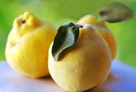 Quinces: History, Nutrition, Health Benefits and Growing Guide 