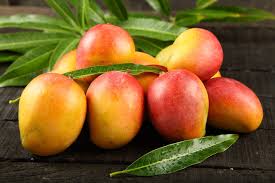 Mangoes: History, Nutrition, Health Benefits and Growing Guide 