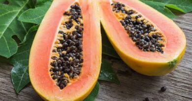 Pawpaws: History, Nutrition, Health Benefits and Growing Guide
