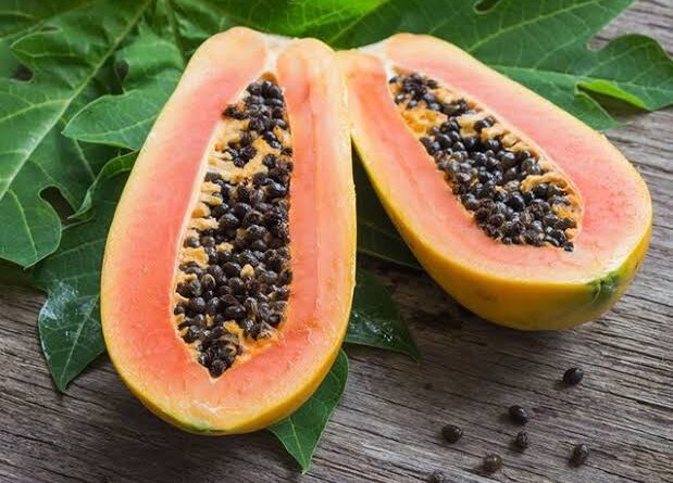Pawpaws: History, Nutrition, Health Benefits and Growing Guide