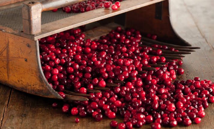 Cranberries: History, Nutrition, Health Benefits and Growing Guide