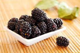 Blackberries: History, Nutrition, Health Benefits and Growing Guide