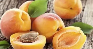 Apricots: History, Nutrition, Health Benefits and Growing Guide