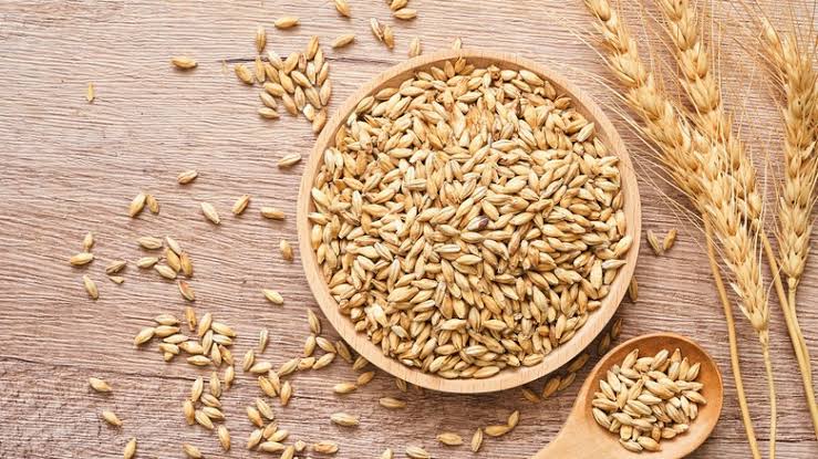 What are the Different Types of Barley?