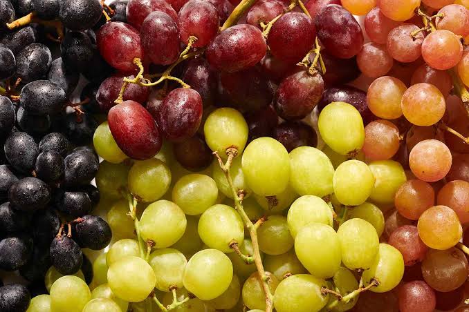 Grapes: History, Nutrition, Health Benefits and Growing Guide