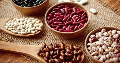 What are the Best Beans for Chili