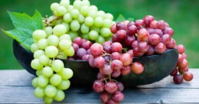 Grapes: History, Nutrition, Health Benefits and Growing Guide
