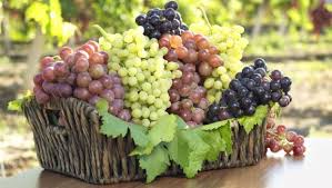 Grapes: History, Nutrition, Health Benefits and Growing Guide