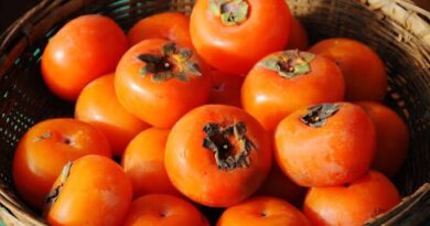 Persimmons: History, Nutrition, Health Benefits and Growing Guide