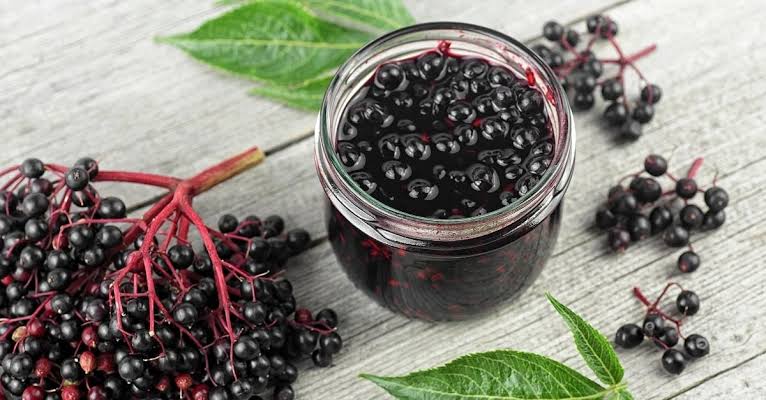 Elderberries: History, Nutrition, Health Benefits and Growing Guide 